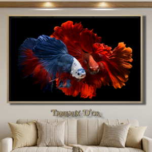 Tableau de Mystère du betta